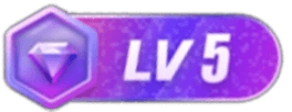 等级-LV5 婆罗门2级-密传oline游戏攻略