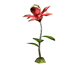 食人花魔-密传oline游戏攻略